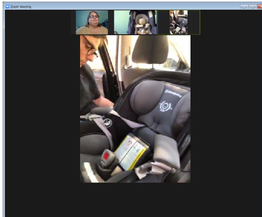 Screen shot of a virtual car seat check session. 